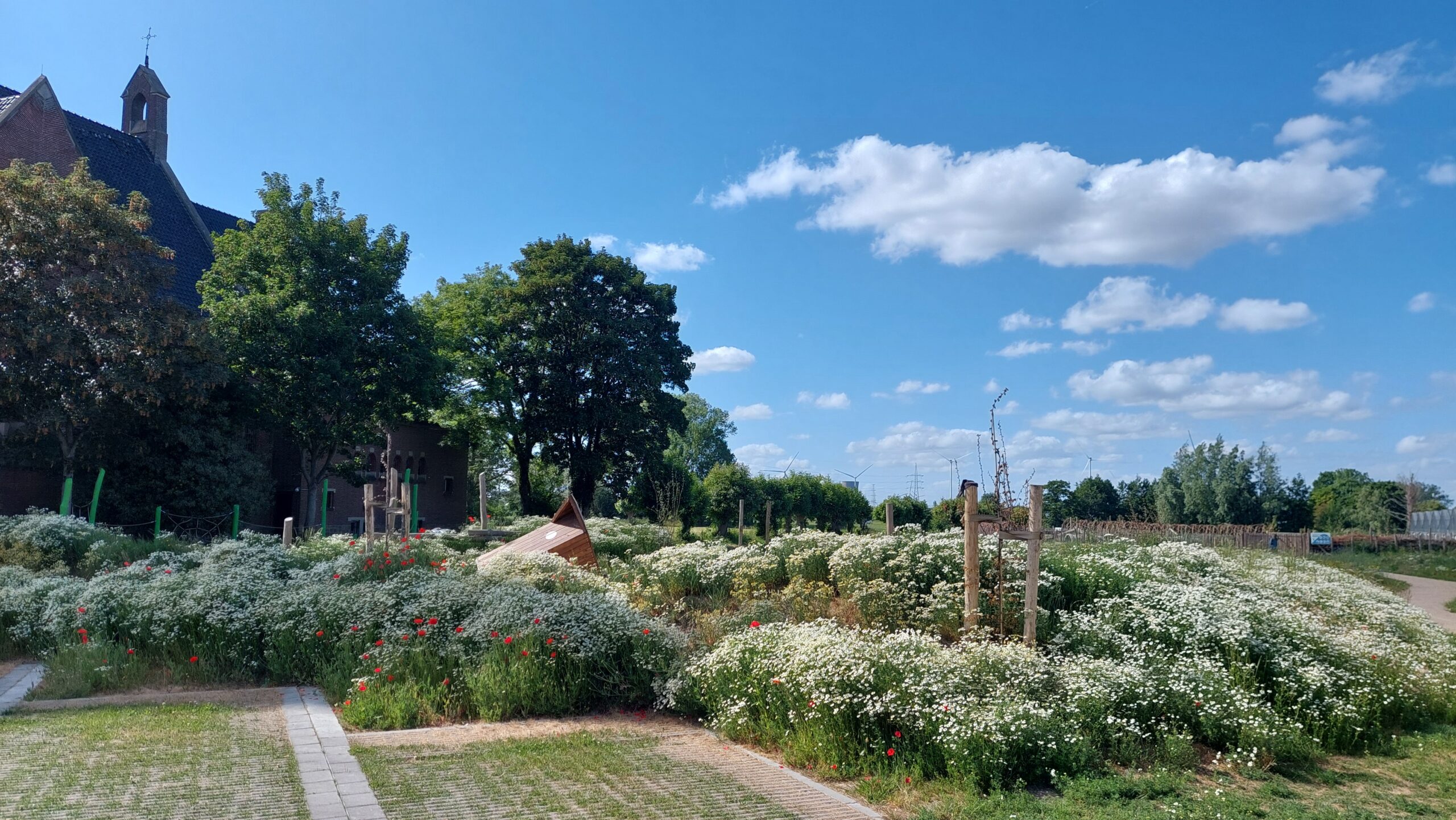 Hondenbelevingsweide Hijfte-kerk, Lochristi