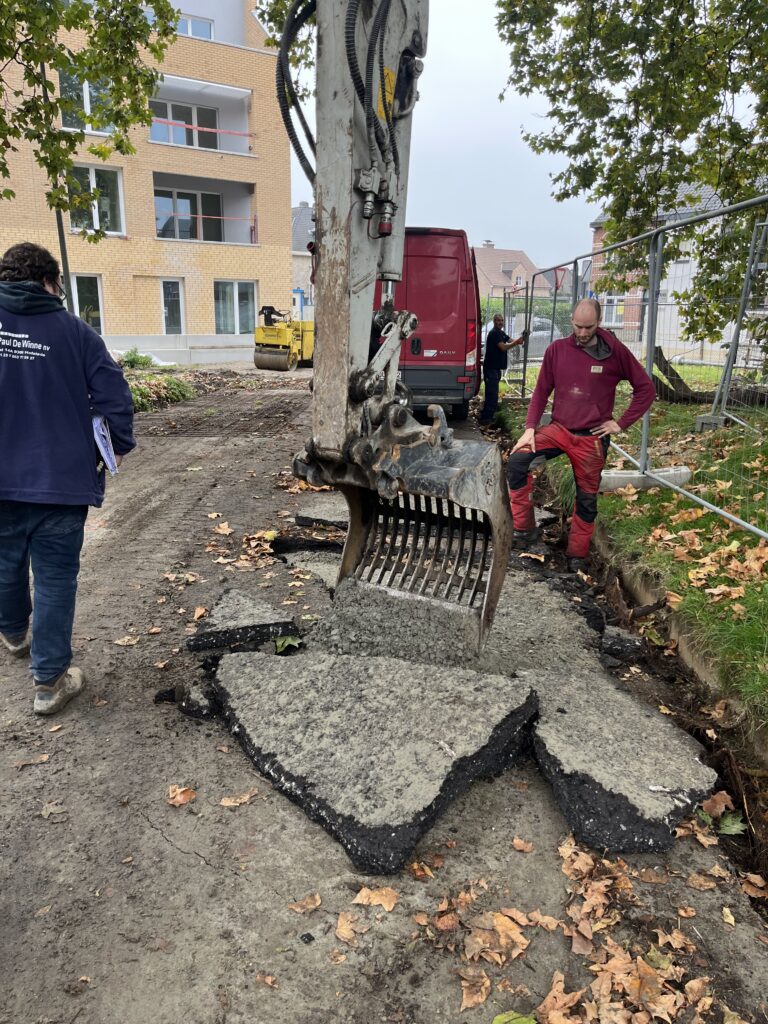 Werken onder toezicht van een erkend European Tree Worker, die erop toezicht dat de wortels, stam en kroon beschermd blijven.